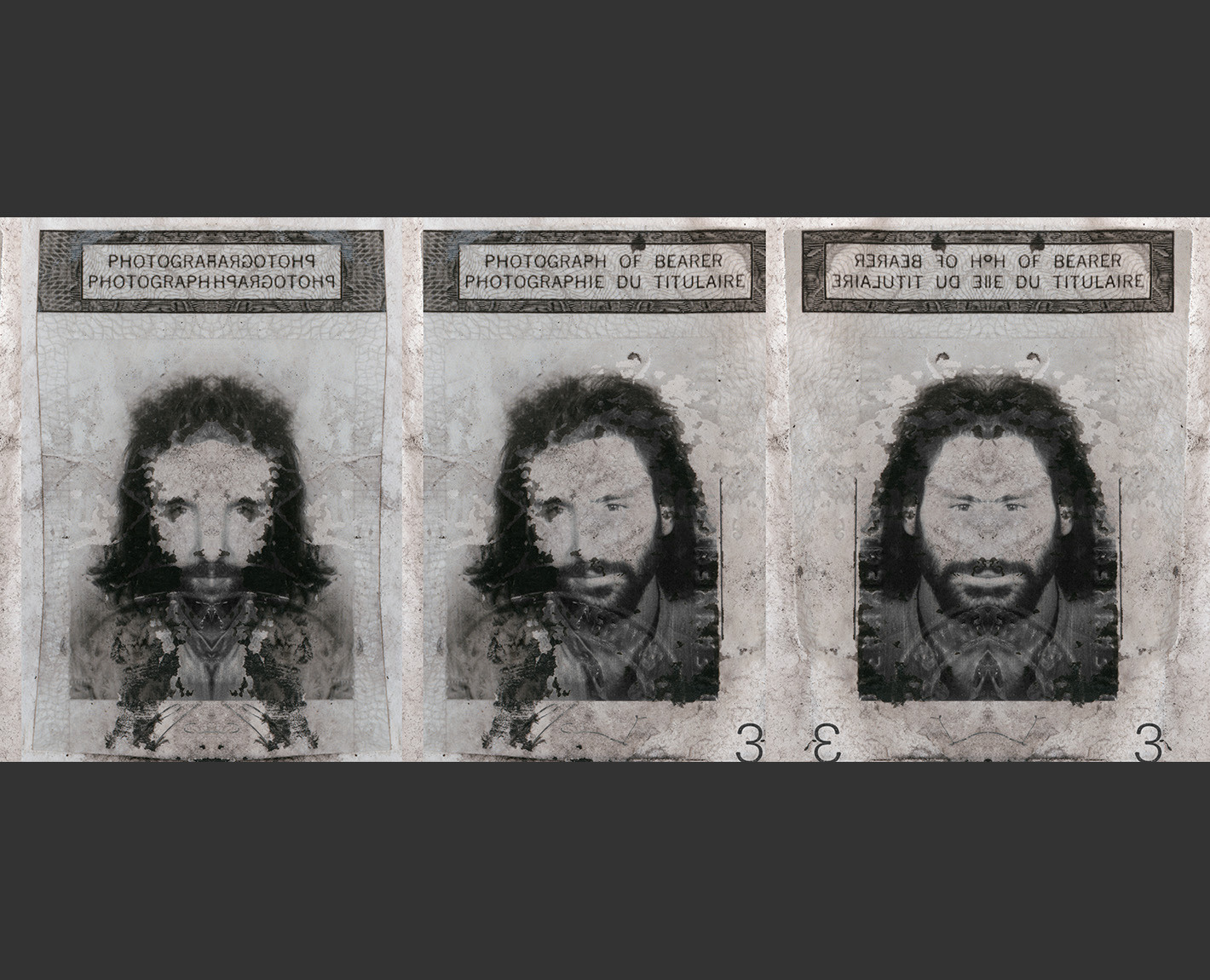 Bicameral Portrait 1984, Paul Lowry
