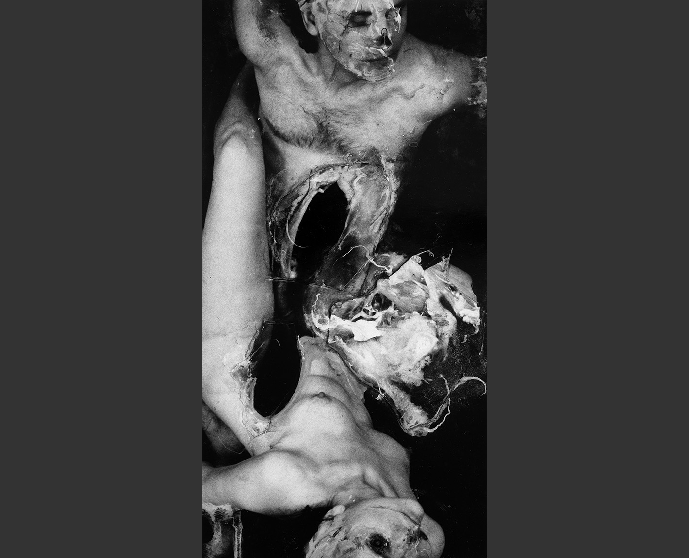 Copulation Studies, Paul Lowry