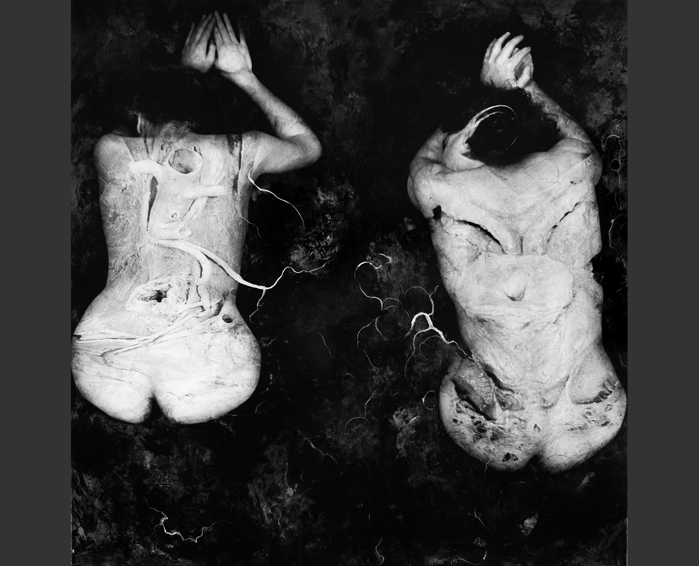 Copulation Studies, Paul Lowry