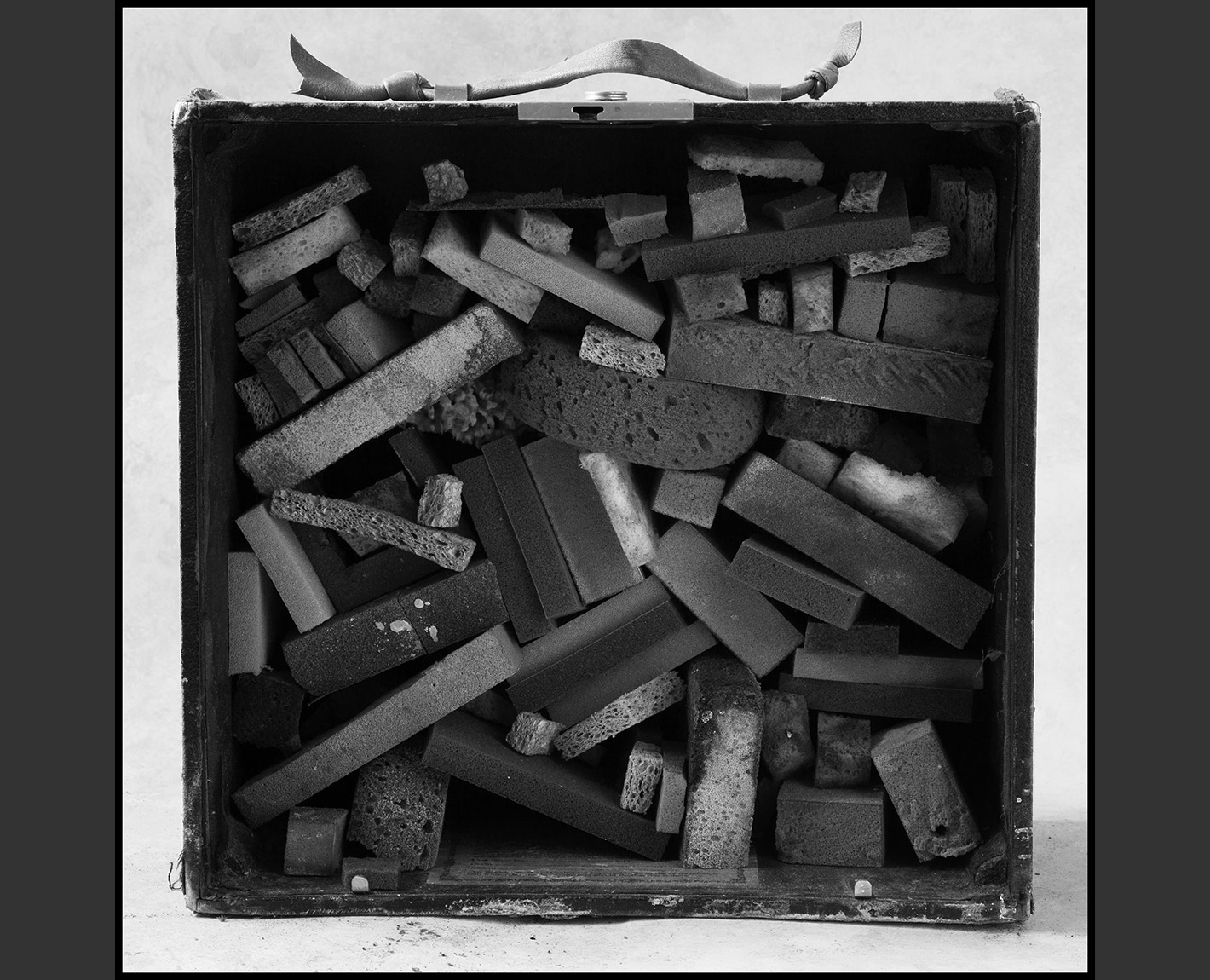 Sponge Boxes from THE Celestial Emporium of Benevolent Knowledge , Paul Lowry